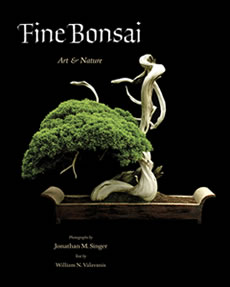 The cover of Fine Bonsai