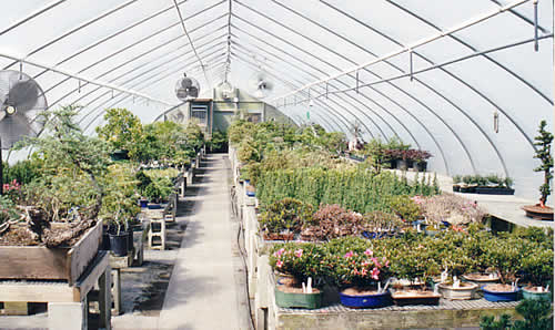 One of the greenhouses